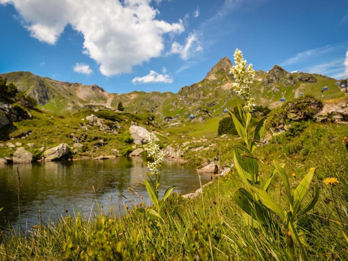 Holiday Home Steindlwald By Interhome Untertauern Kültér fotó